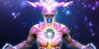 Ascension : Passer d’un niveau de Conscience à un niveau de Conscience Supérieur